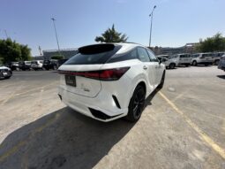 
										Lexus RX 500h full									